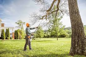 Best Tree Maintenance Programs  in Jerome, ID