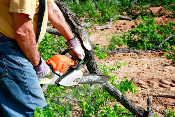 Best Lawn Irrigation Installation and Maintenance  in Jerome, ID